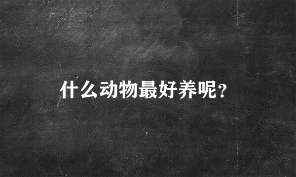 什么动物最好养呢？