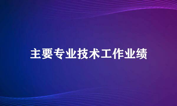 主要专业技术工作业绩