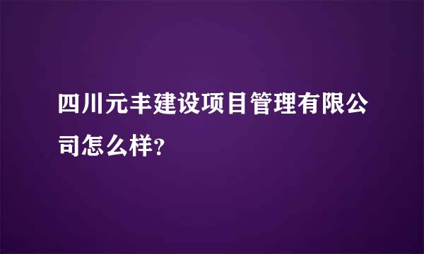 四川元丰建设项目管理有限公司怎么样？