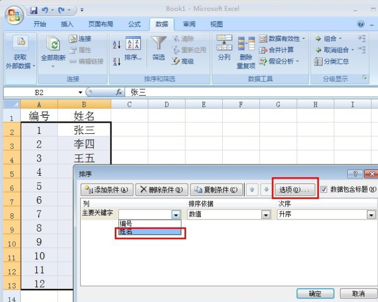 在EXCEL里面怎么能按姓氏排序？