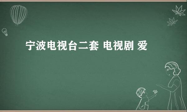 宁波电视台二套 电视剧 爱