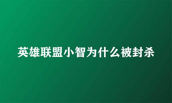 英雄联盟小智为什么被封杀