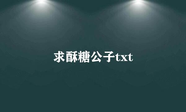 求酥糖公子txt