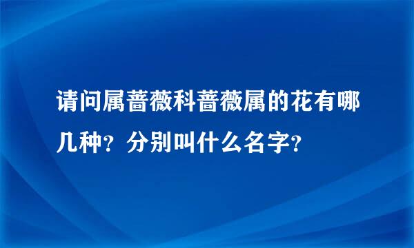 请问属蔷薇科蔷薇属的花有哪几种？分别叫什么名字？