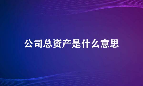 公司总资产是什么意思