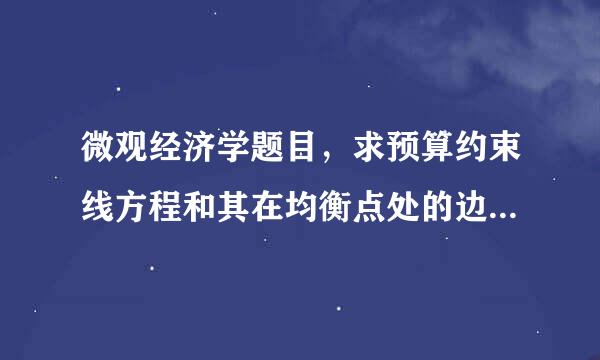 微观经济学题目，求预算约束线方程和其在均衡点处的边际替代率。