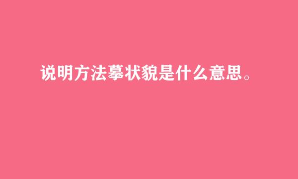 说明方法摹状貌是什么意思。