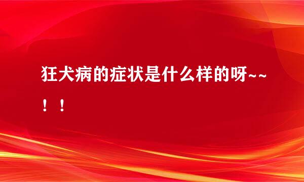 狂犬病的症状是什么样的呀~~！！