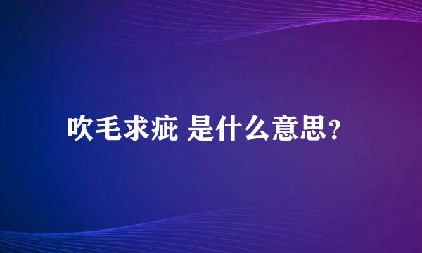 吹毛求疵 是什么意思？