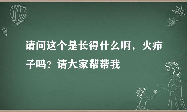 请问这个是长得什么啊，火疖子吗？请大家帮帮我