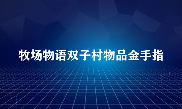 牧场物语双子村物品金手指