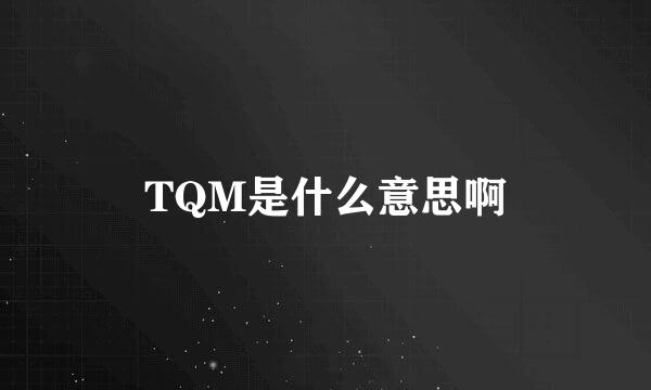 TQM是什么意思啊