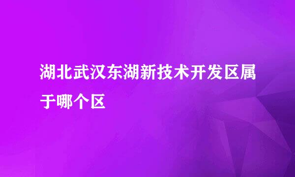 湖北武汉东湖新技术开发区属于哪个区