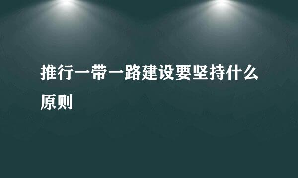 推行一带一路建设要坚持什么原则