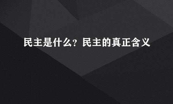 民主是什么？民主的真正含义