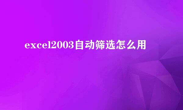 excel2003自动筛选怎么用