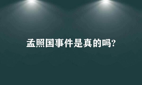 孟照国事件是真的吗?