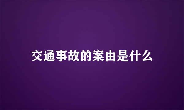 交通事故的案由是什么