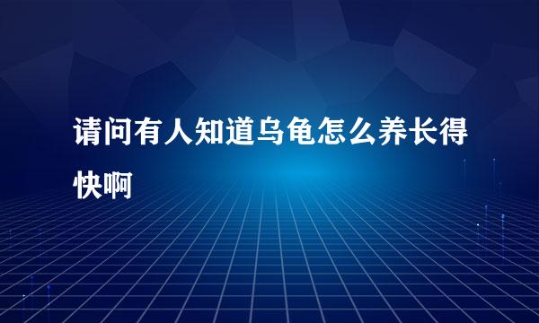 请问有人知道乌龟怎么养长得快啊