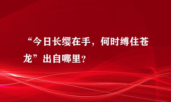 “今日长缨在手，何时缚住苍龙”出自哪里？