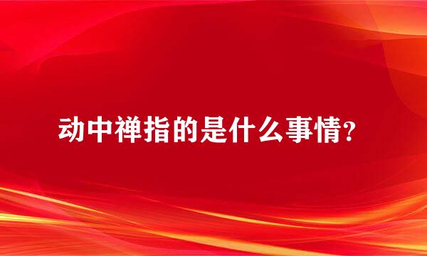 动中禅指的是什么事情？