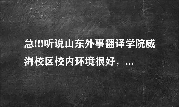 急!!!听说山东外事翻译学院威海校区校内环境很好，是真的吗？（学哥学姐进）