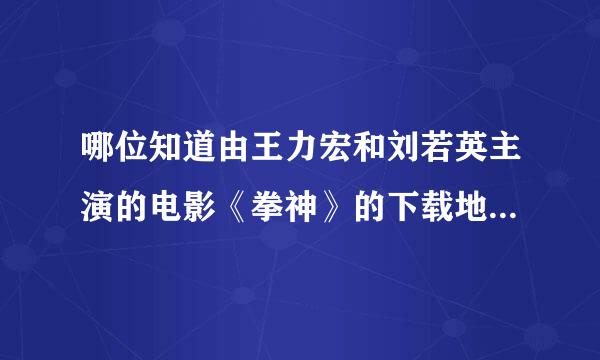 哪位知道由王力宏和刘若英主演的电影《拳神》的下载地址，要迅雷下载的。谢谢了！