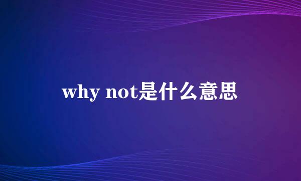 why not是什么意思