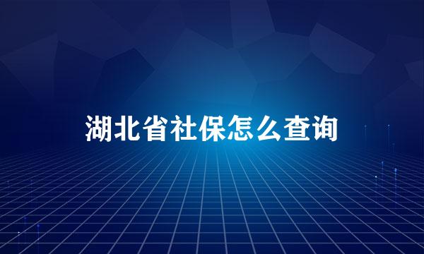 湖北省社保怎么查询