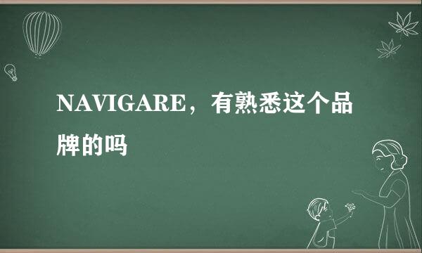 NAVIGARE，有熟悉这个品牌的吗