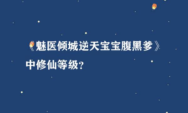 《魅医倾城逆天宝宝腹黑爹》中修仙等级？