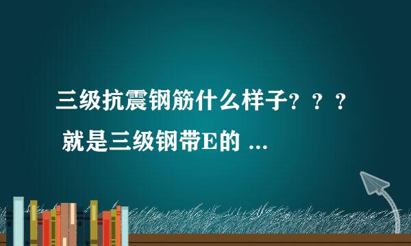 三级抗震钢筋什么样子？？？ 就是三级钢带E的 ...