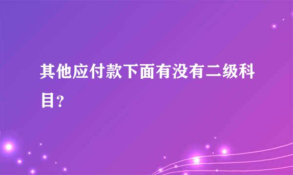 其他应付款下面有没有二级科目？