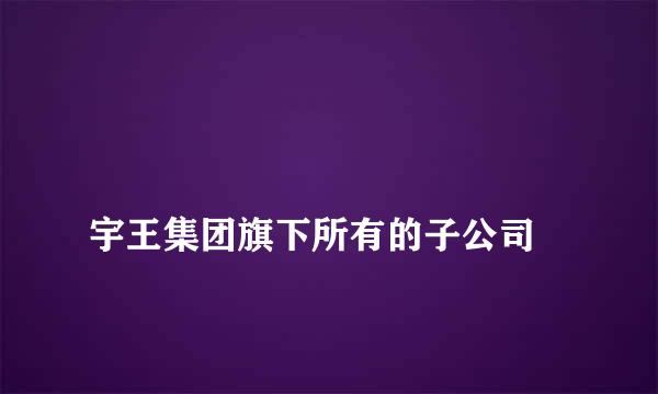 
宇王集团旗下所有的子公司
