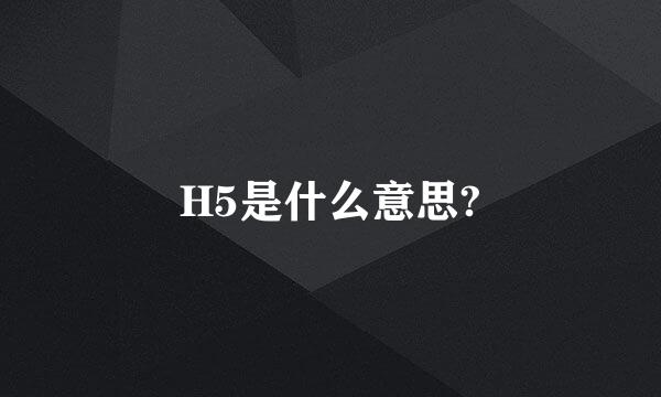 H5是什么意思?