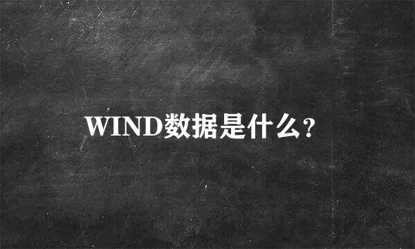 WIND数据是什么？