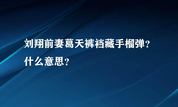 刘翔前妻葛天裤裆藏手榴弹？什么意思？