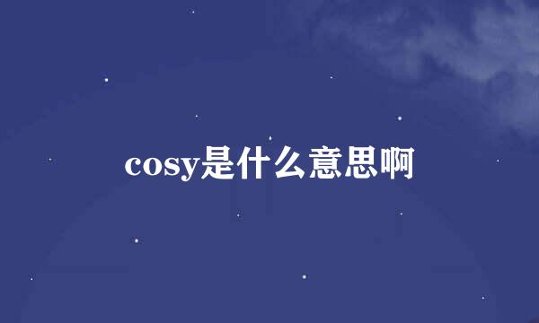 cosy是什么意思啊