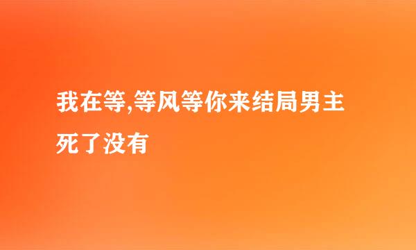 我在等,等风等你来结局男主死了没有