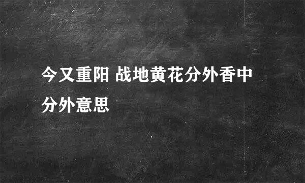 今又重阳 战地黄花分外香中分外意思