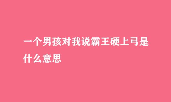 一个男孩对我说霸王硬上弓是什么意思