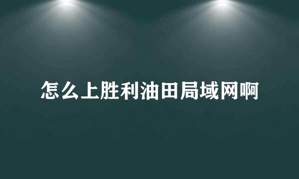 怎么上胜利油田局域网啊