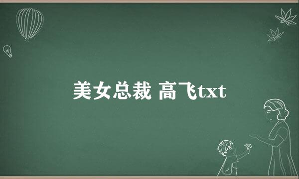 美女总裁 高飞txt