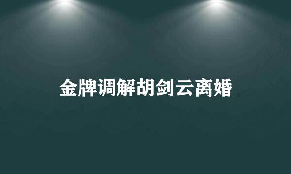 金牌调解胡剑云离婚