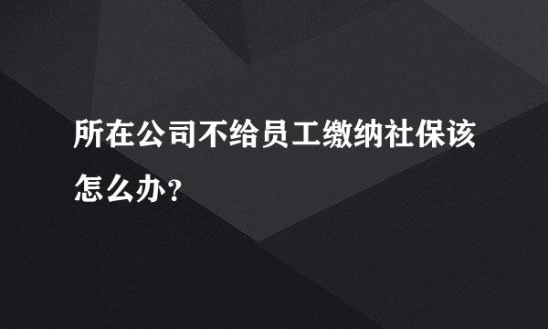 所在公司不给员工缴纳社保该怎么办？