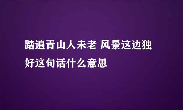 踏遍青山人未老 风景这边独好这句话什么意思