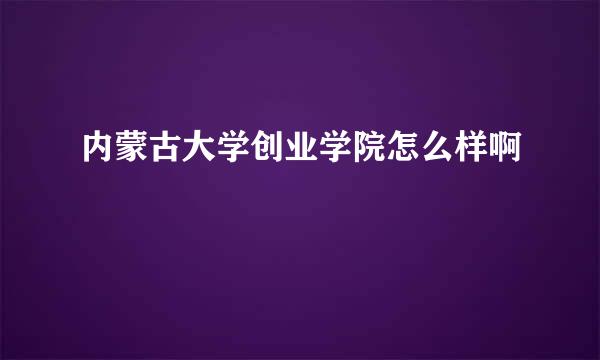 内蒙古大学创业学院怎么样啊