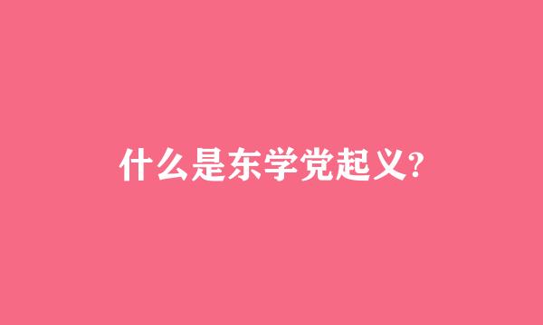 什么是东学党起义?