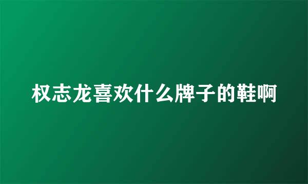 权志龙喜欢什么牌子的鞋啊