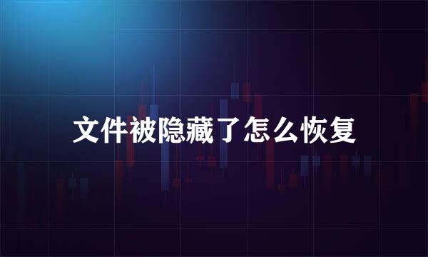 文件被隐藏了怎么恢复